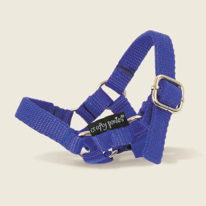 Crafty Ponies- Headcollar
