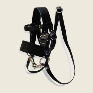 Crafty Ponies- Bridle
