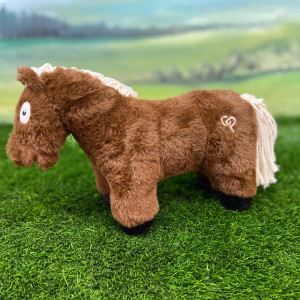 Crafty Ponies Foal