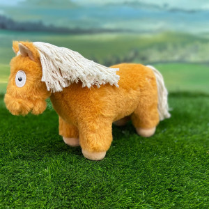Crafty Ponies Foal
