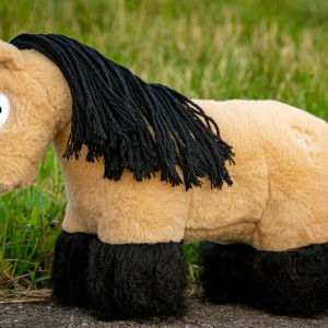 Crafty ponies- Feathers set