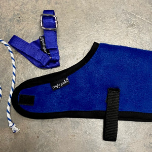 Crafty Ponies- Foal rug set