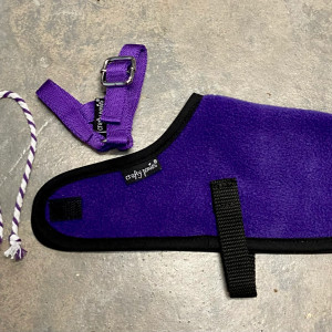 Crafty Ponies- Foal rug set