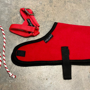 Crafty Ponies- Foal rug set