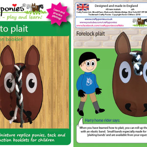 Crafty Ponies- Plaiting kit