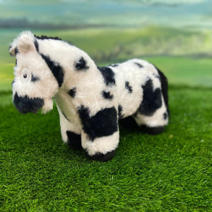 Crafty Ponies Foal