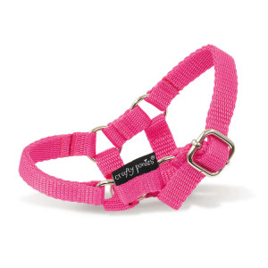 Crafty Ponies- Headcollar