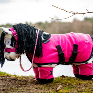 Crafty Ponies- Fleece rug set
