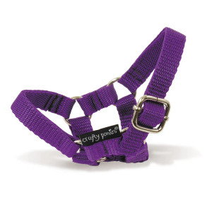 Crafty Ponies- Headcollar