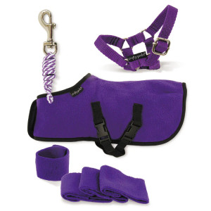 Crafty Ponies- Fleece rug set