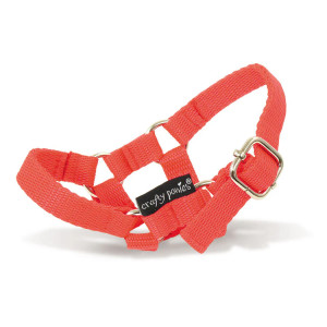Crafty Ponies- Headcollar