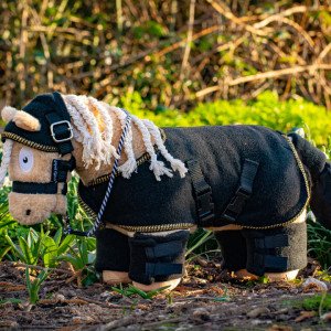 Crafty Ponies- Show rug set