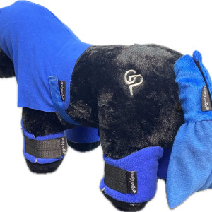Crafty Ponies- Travel set