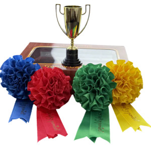 Crafty Ponies Trophy set