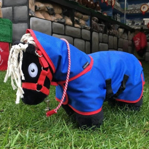 Crafty Ponies- Turnout rug