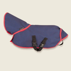 Crafty Ponies- Turnout rug